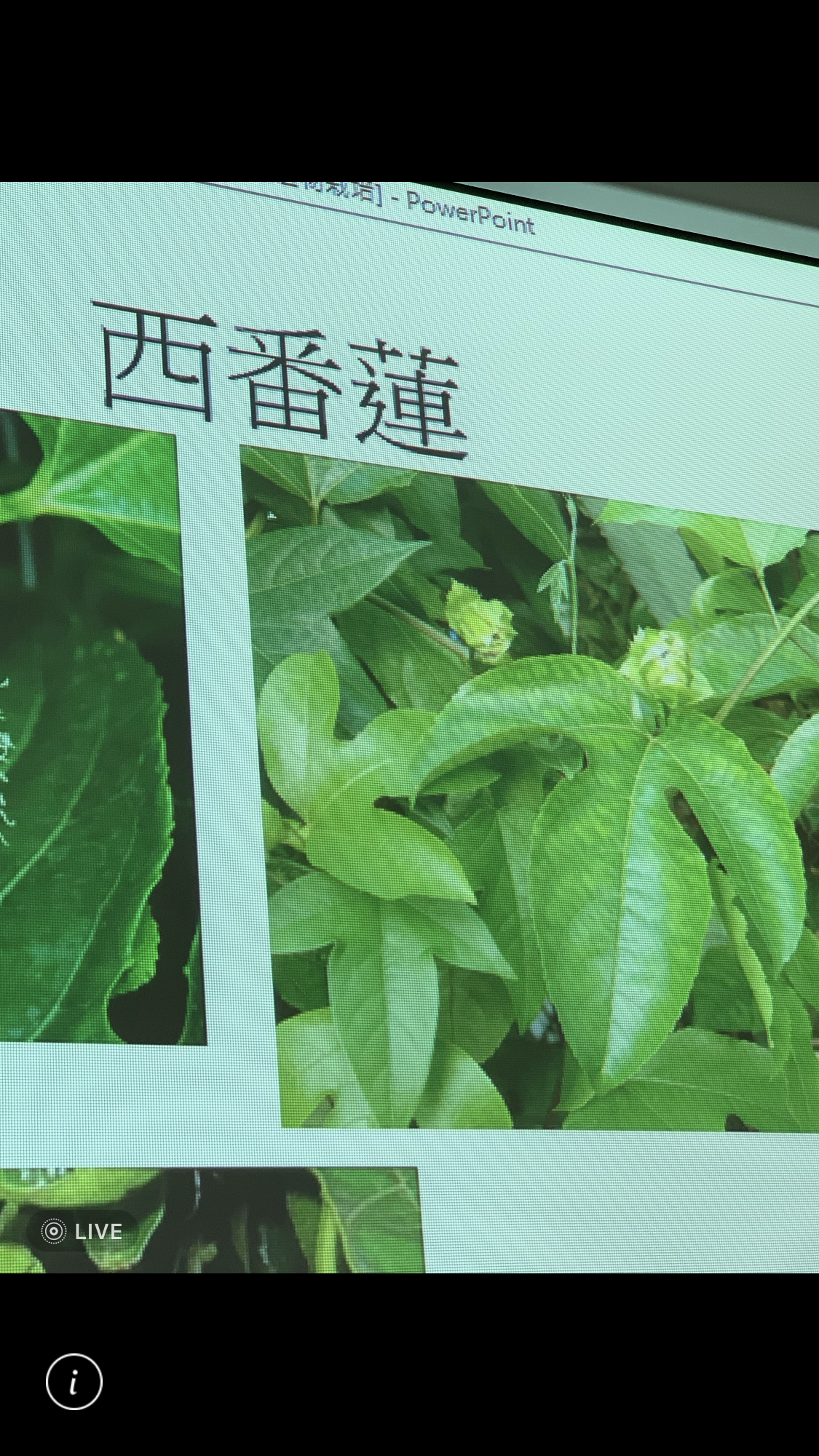 造園景觀訓練班