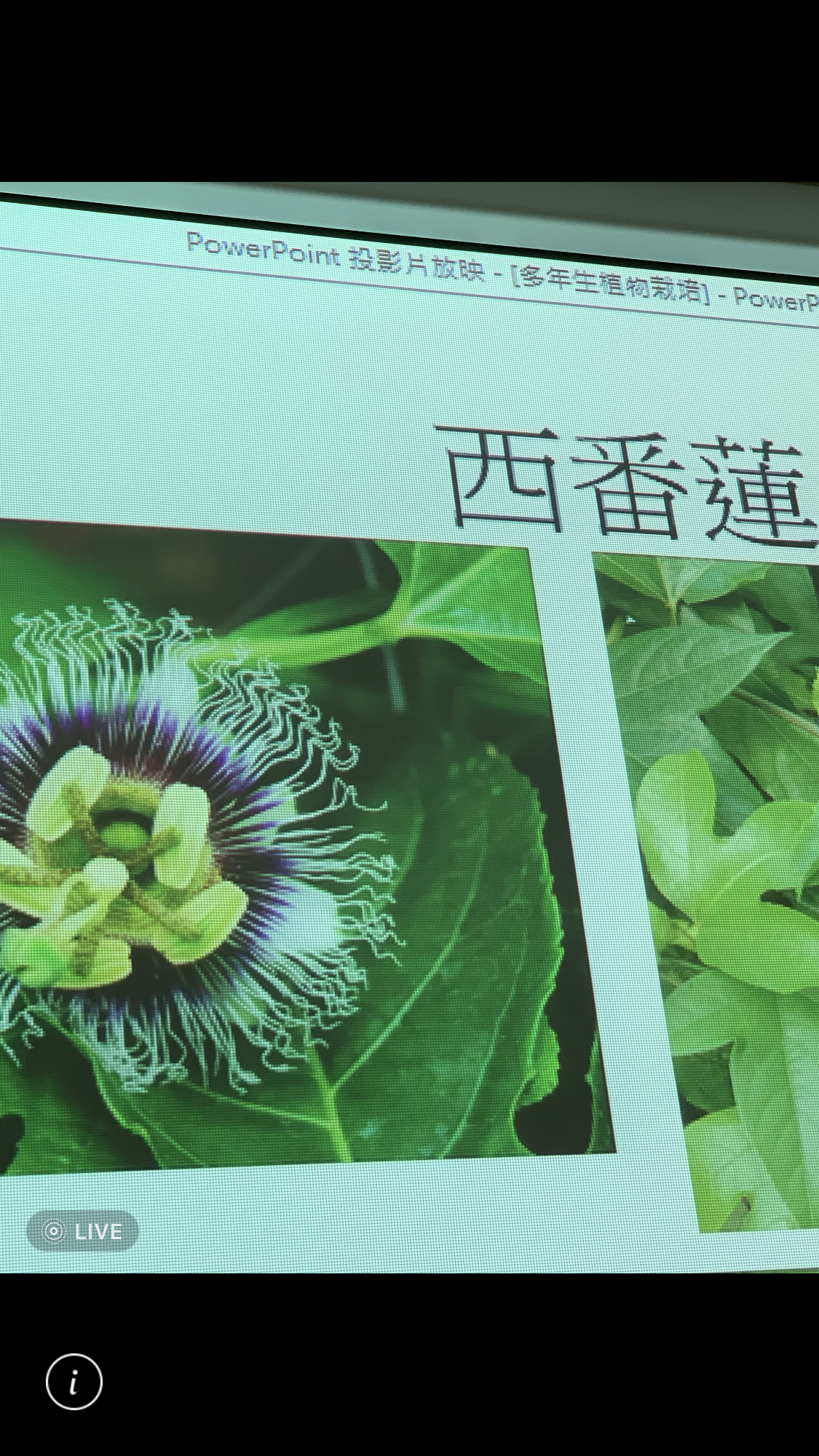 造園景觀訓練班