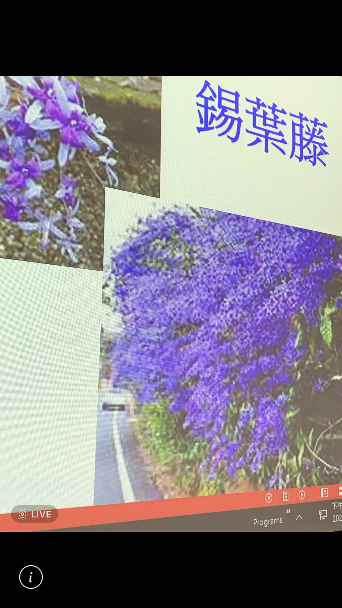 造園景觀訓練班