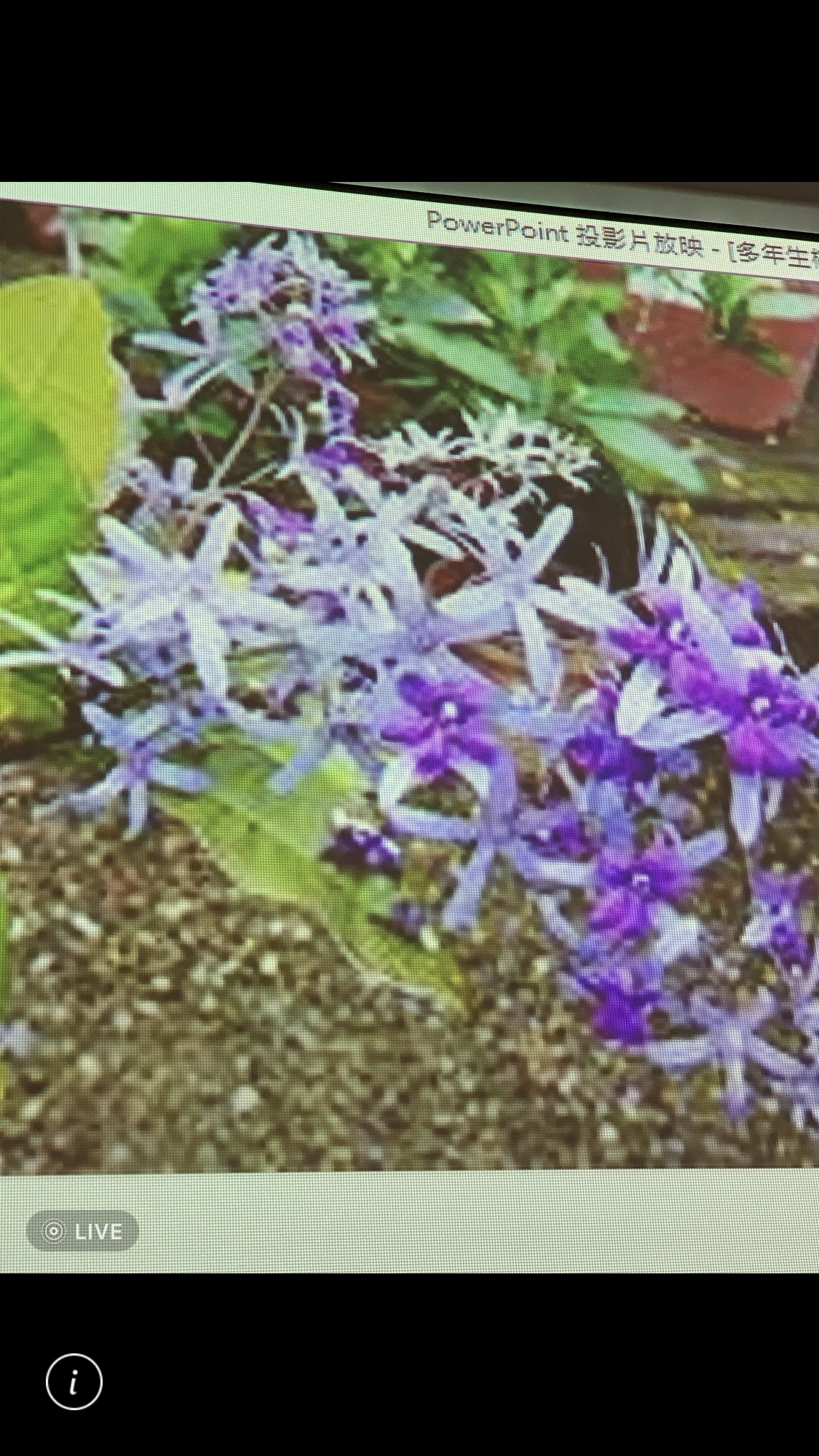 造園景觀訓練班