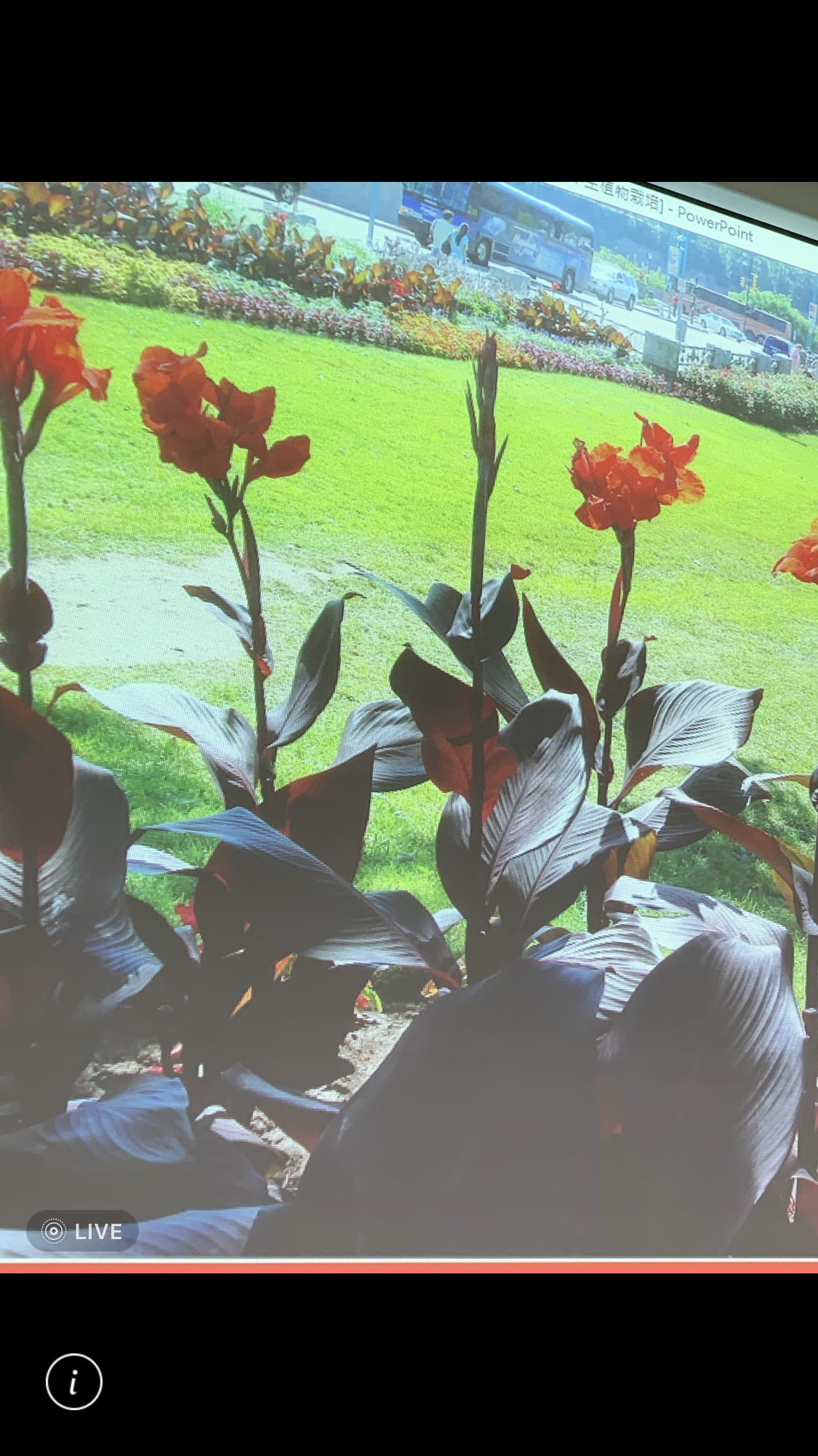 造園景觀訓練班