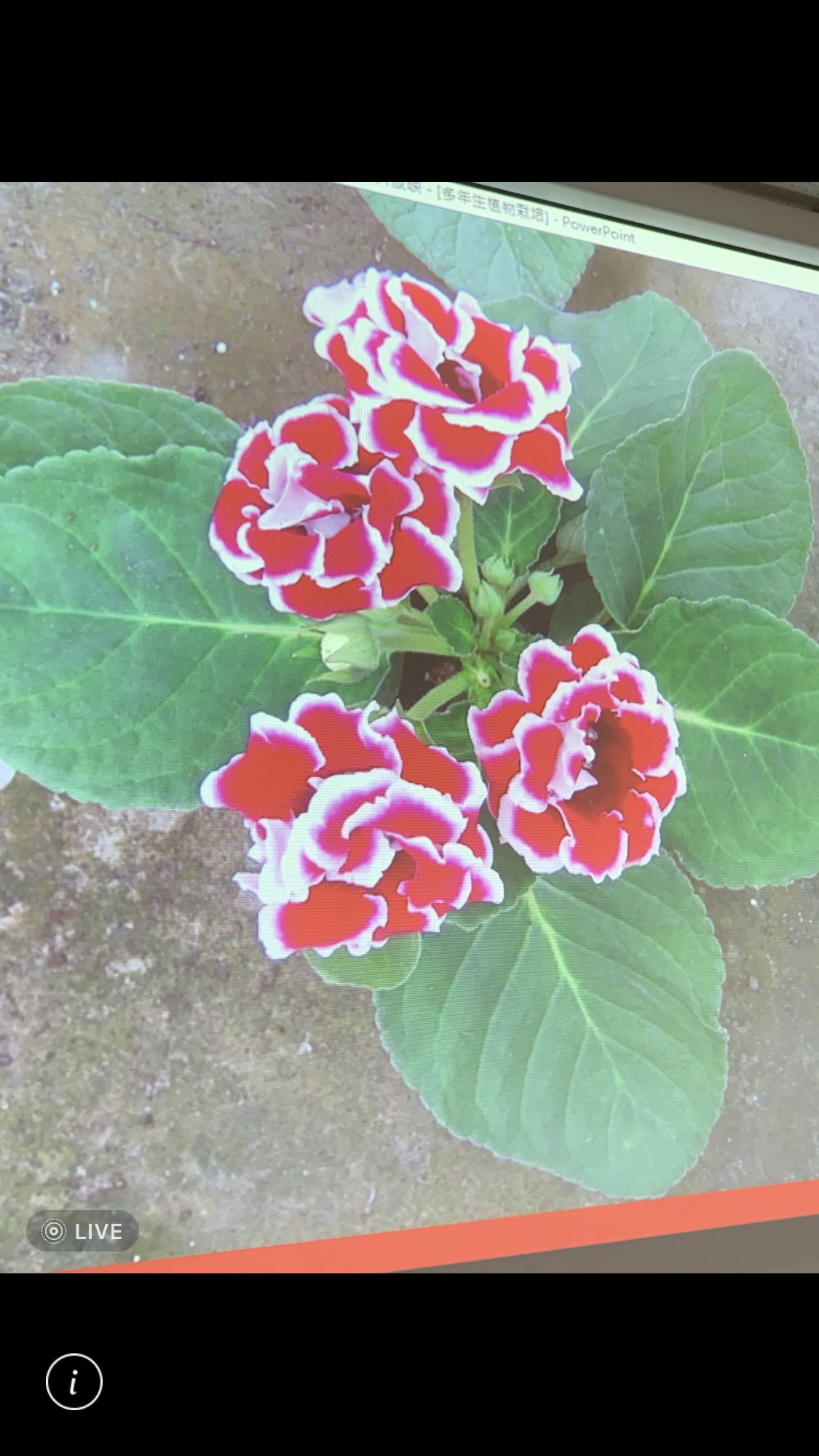 造園景觀訓練班