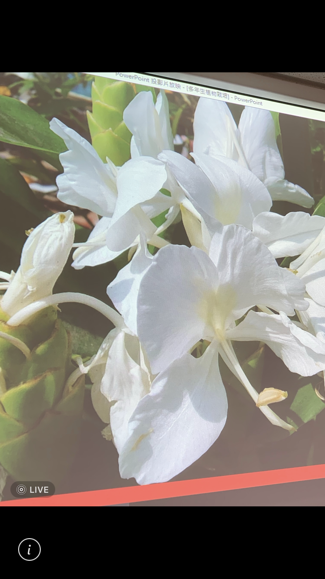 造園景觀訓練班