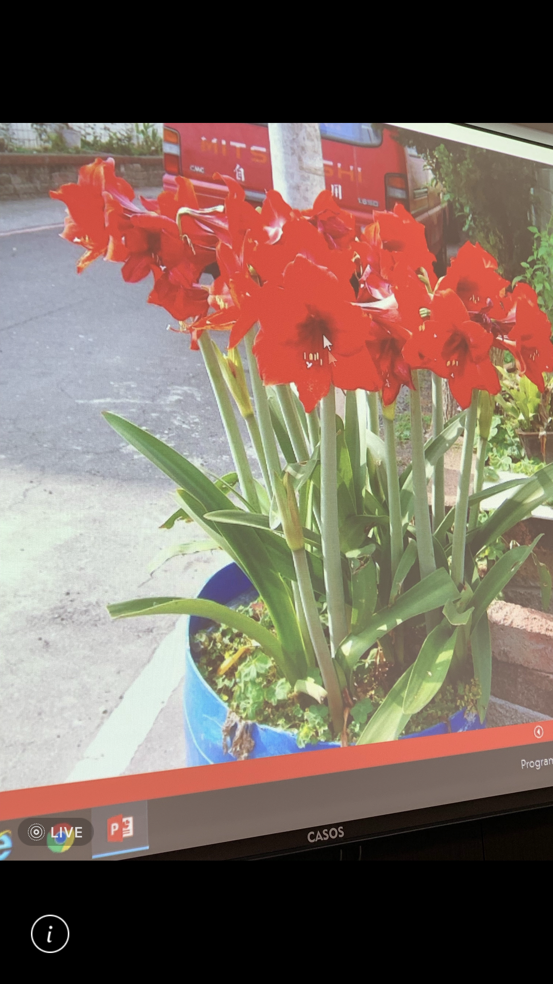 造園景觀訓練班