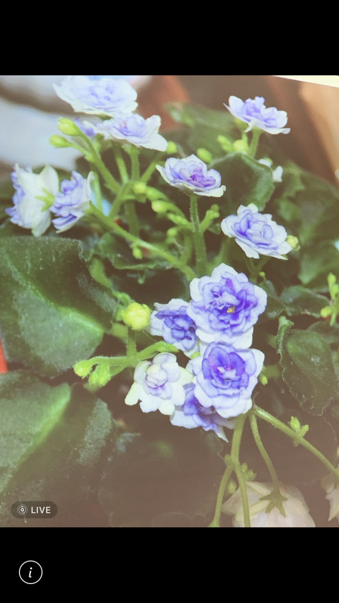 造園景觀訓練班