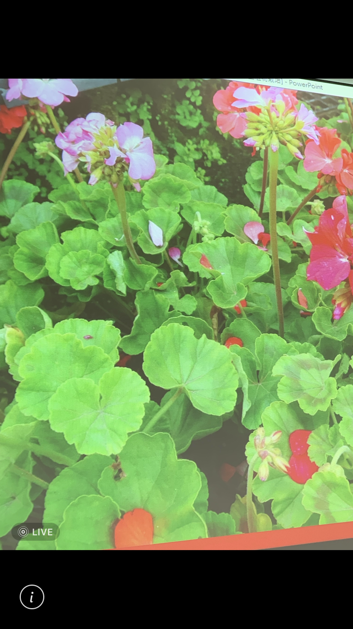 造園景觀訓練班