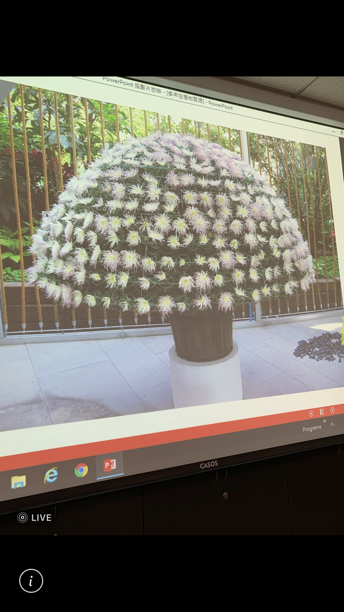 造園景觀訓練班