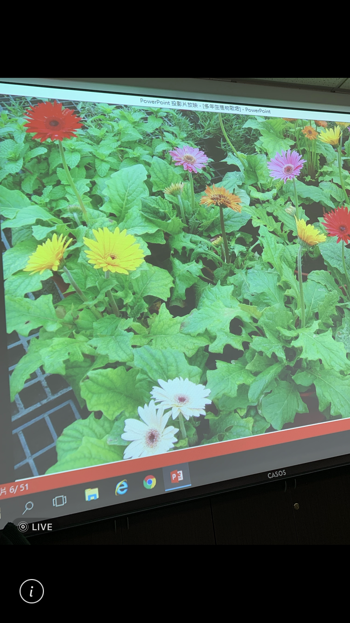 造園景觀訓練班