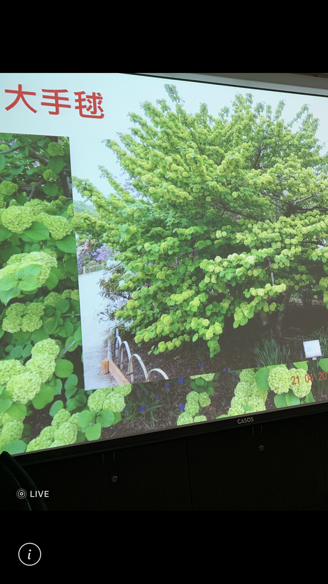 造園景觀訓練班