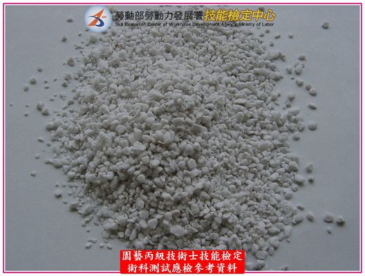 真珠石(珍珠石)