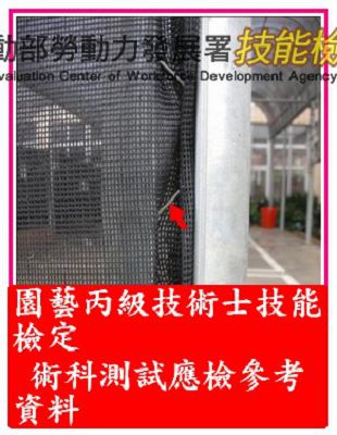 壓條線