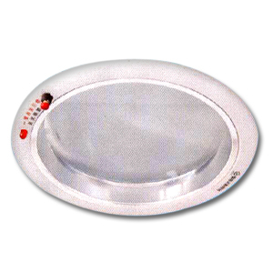 崁入式應急自動照明燈