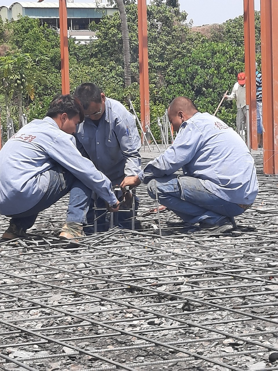 屏東佳墩農舍興建-地坪扎筋
