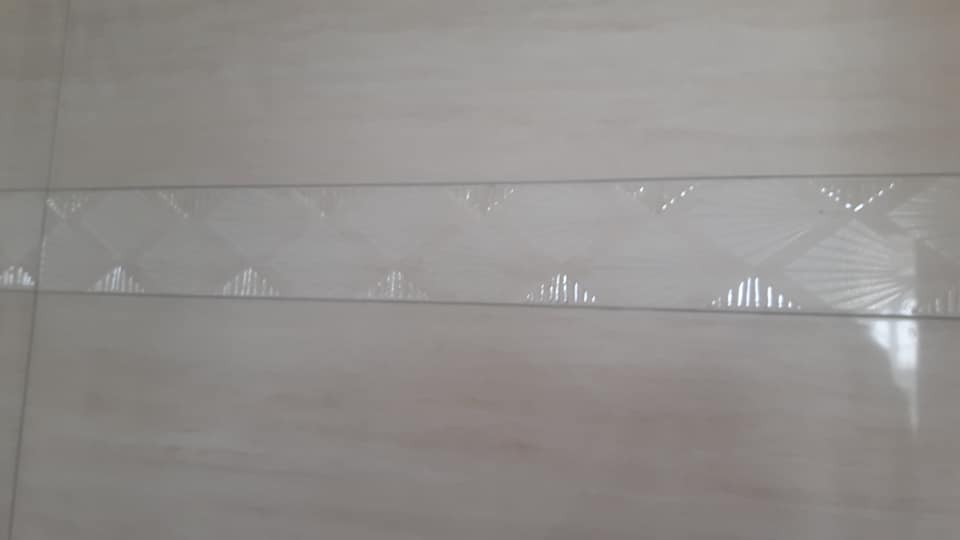 屏東佳墩衛浴工程-特色磁磚