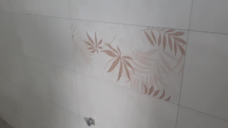 屏東佳墩衛浴工程-特色磁磚