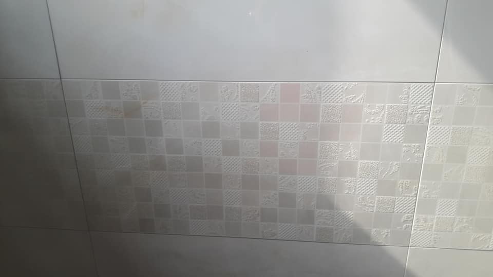 屏東佳墩衛浴工程-特色磁磚