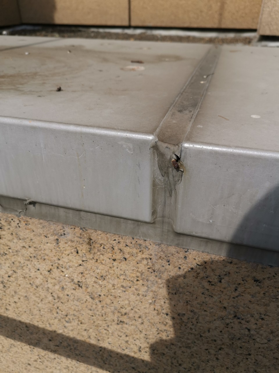 矽力康更新防水作業