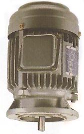 立式高效率馬達