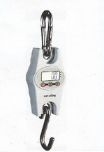 CR輕型吊秤