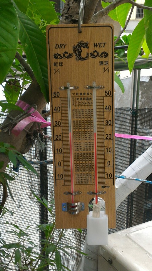 木板乾濕度計