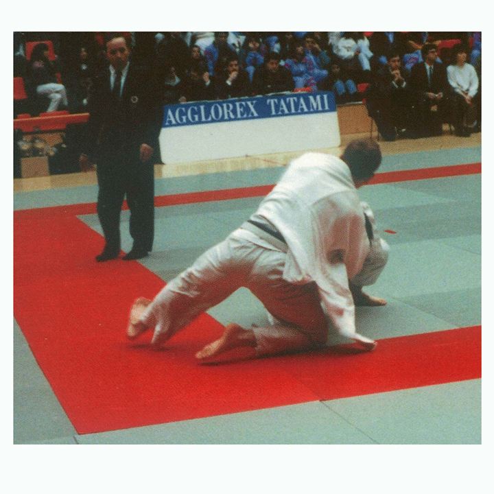 柔道墊-國際比賽等級-AGGLOREX