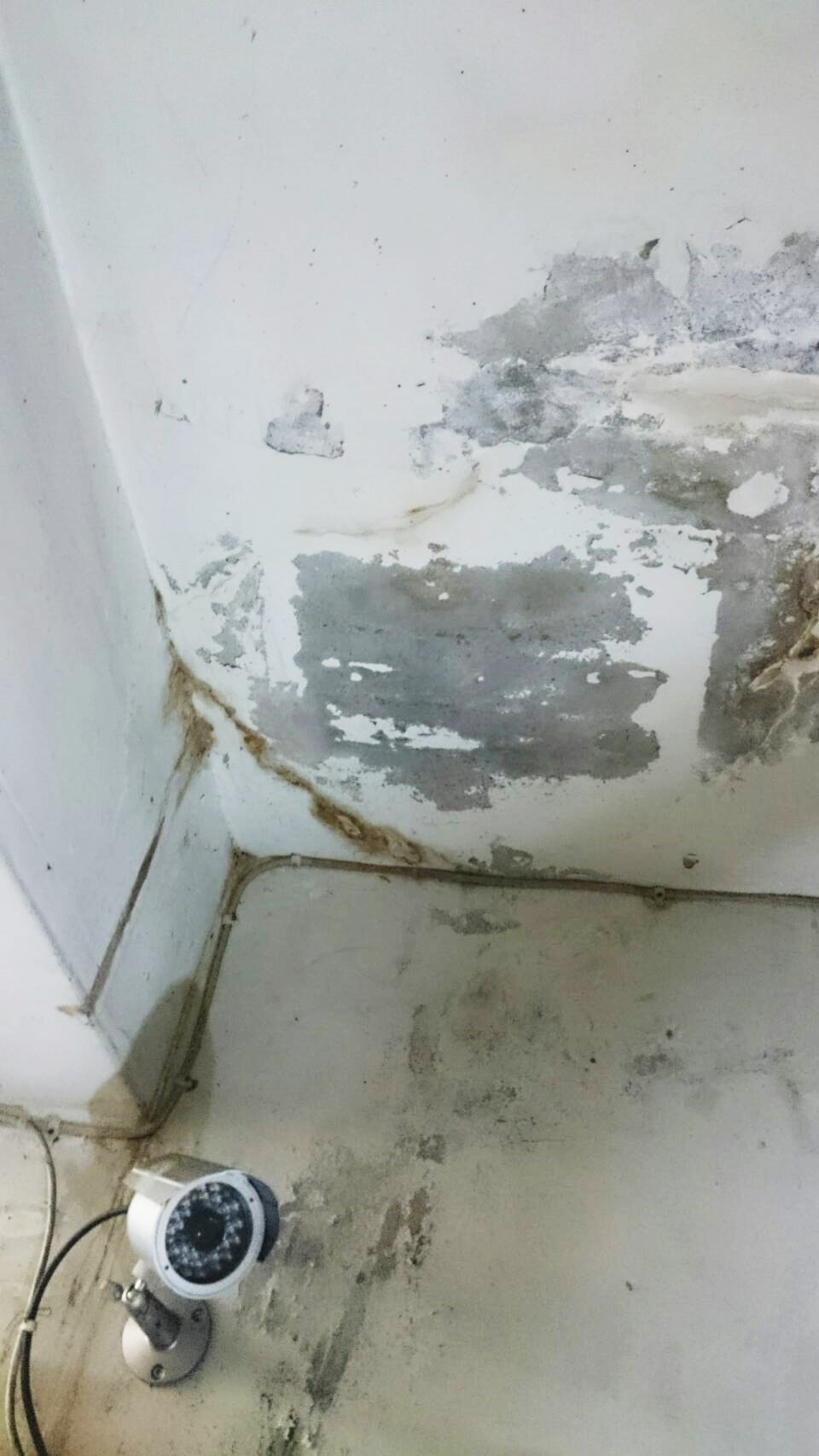 大台中防水抓漏/壁癌處理