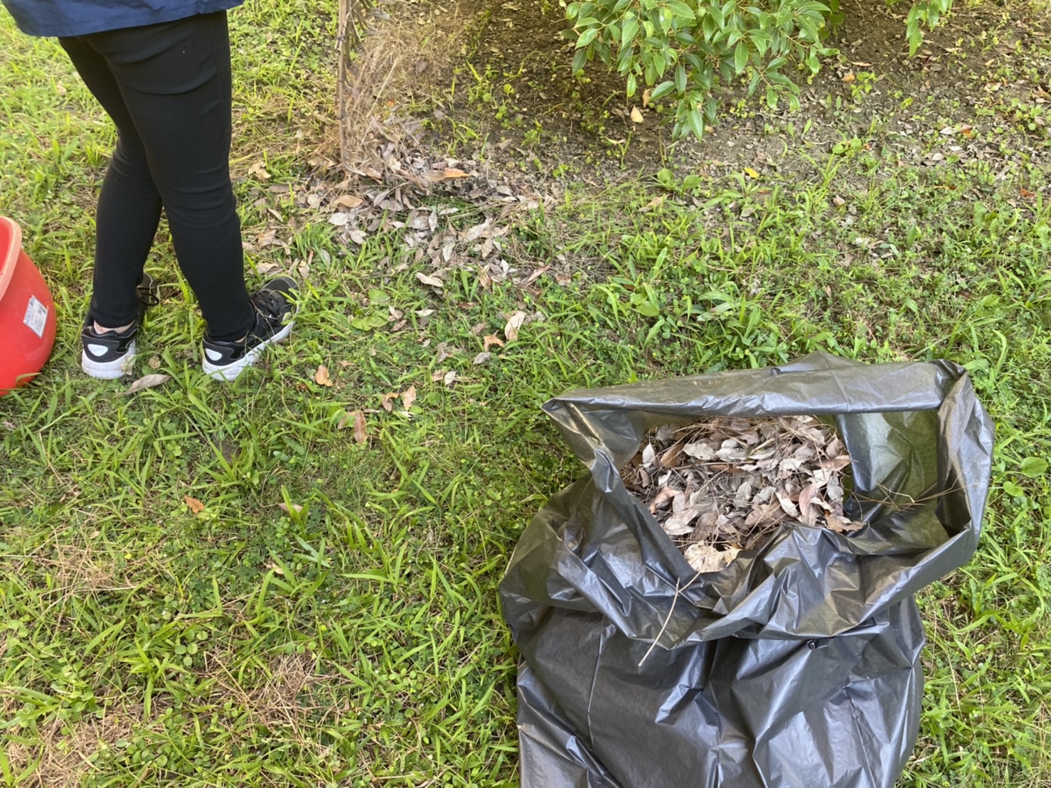 學校廢棄物清理清運服務