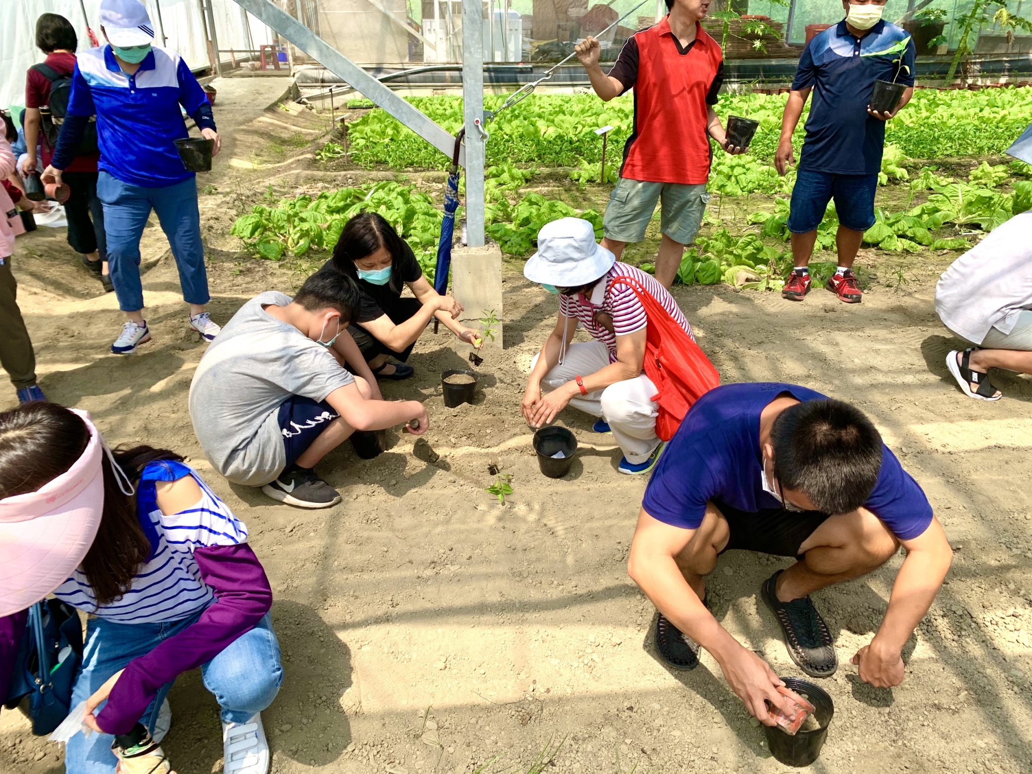 DIY活動介紹-辣椒盆栽