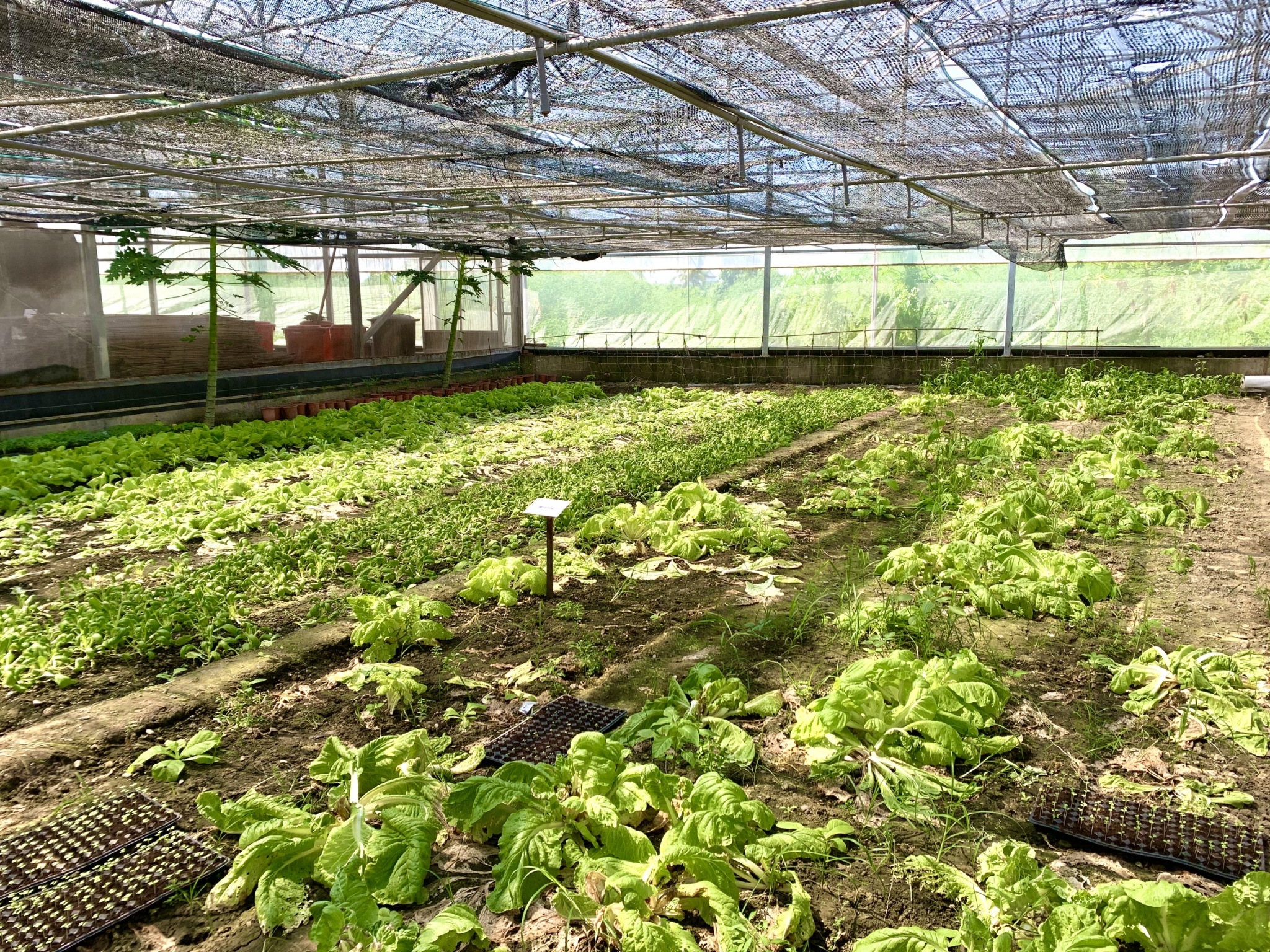 溫室蔬果區
