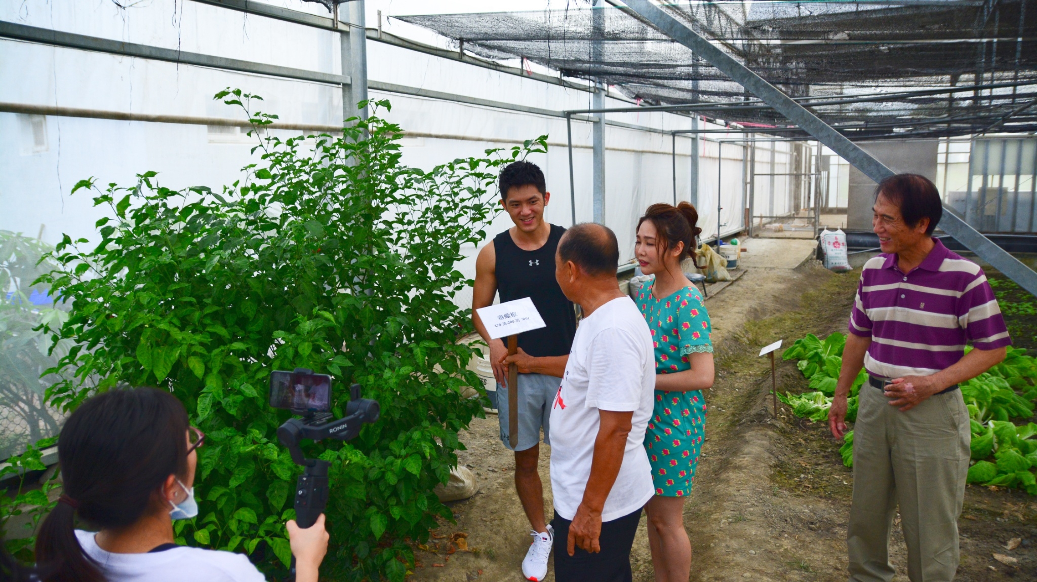 DIY活動介紹-溫室導覽