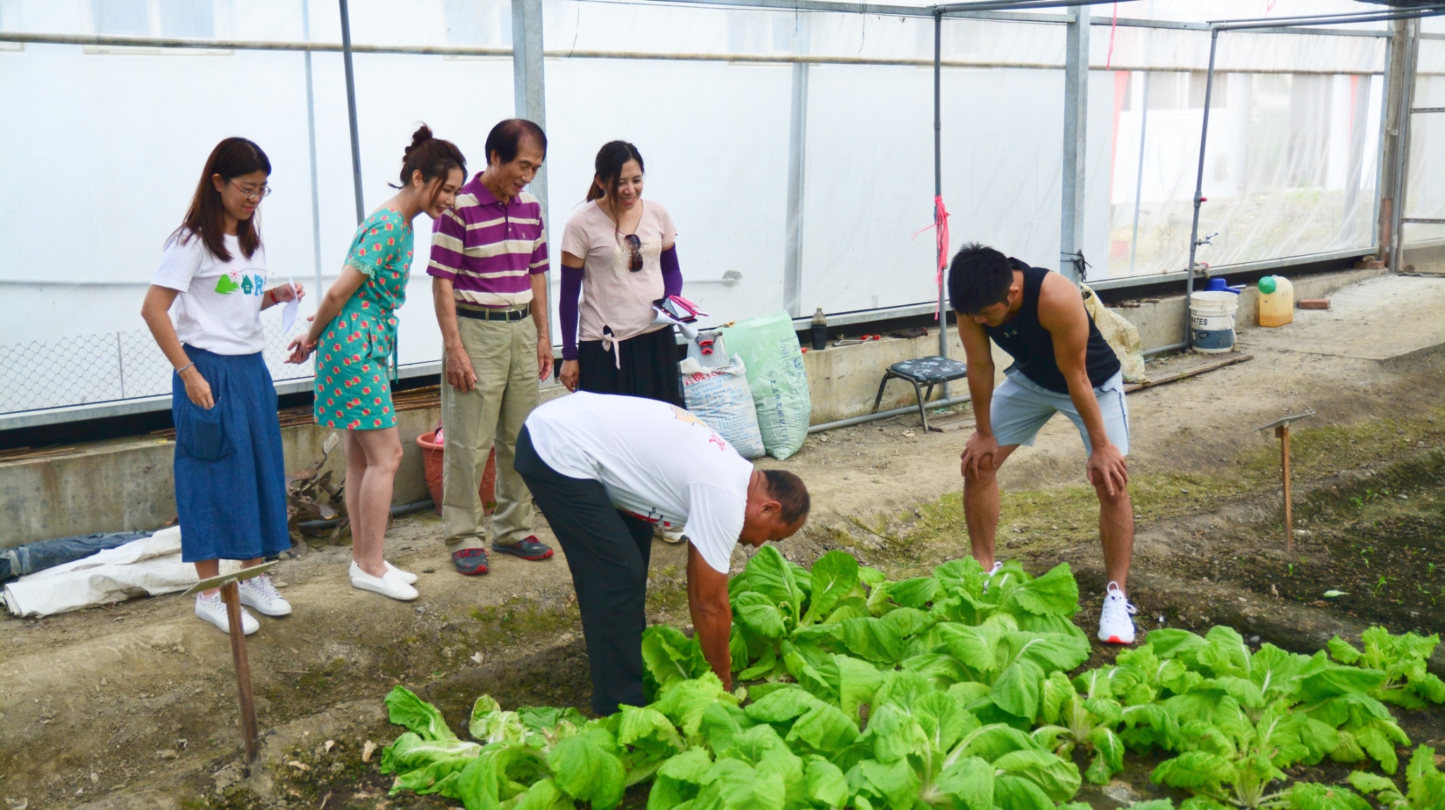 DIY活動介紹-溫室導覽