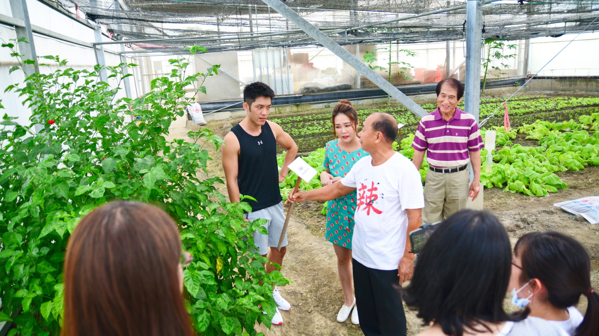 DIY活動介紹-溫室採栽