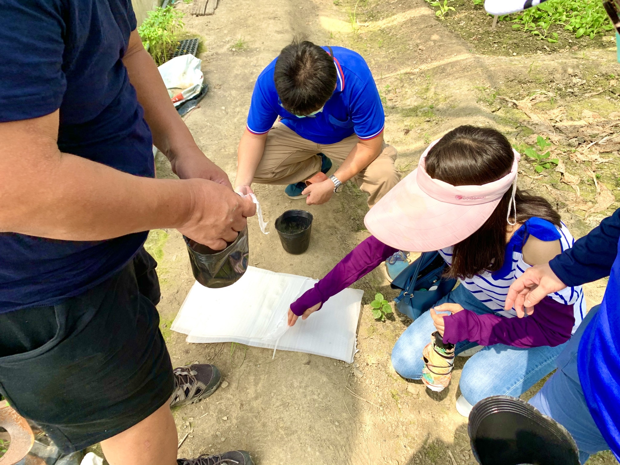 DIY活動介紹-辣椒盆栽