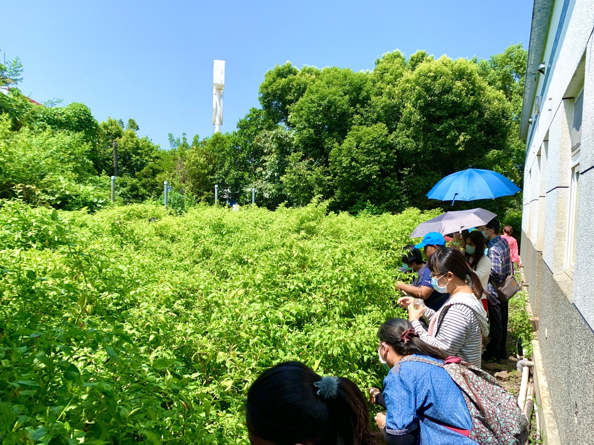 DIY活動介紹-手作辣椒罐頭