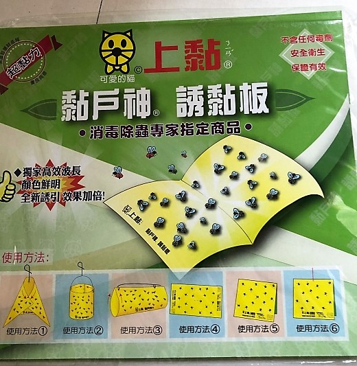 上黏黏蠅紙(5入/包)