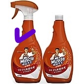 威猛去霉劑(噴槍)