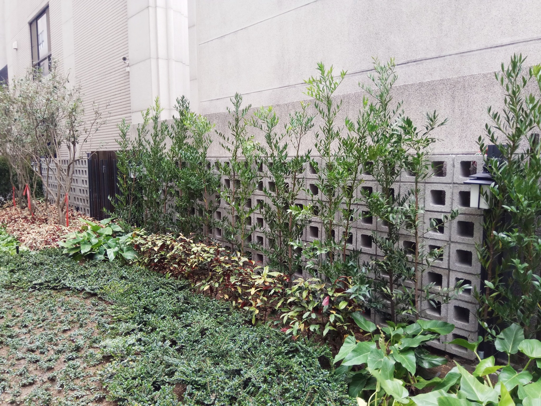 磚塊系列-空心磚/口字磚