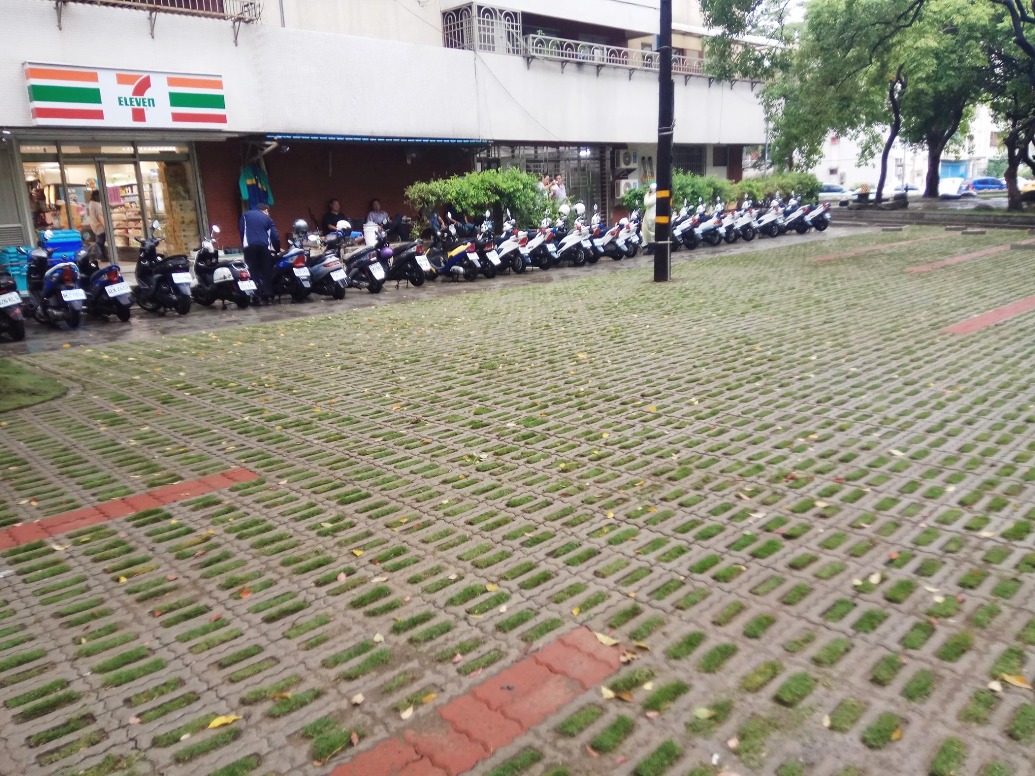 磚塊系列-植草磚