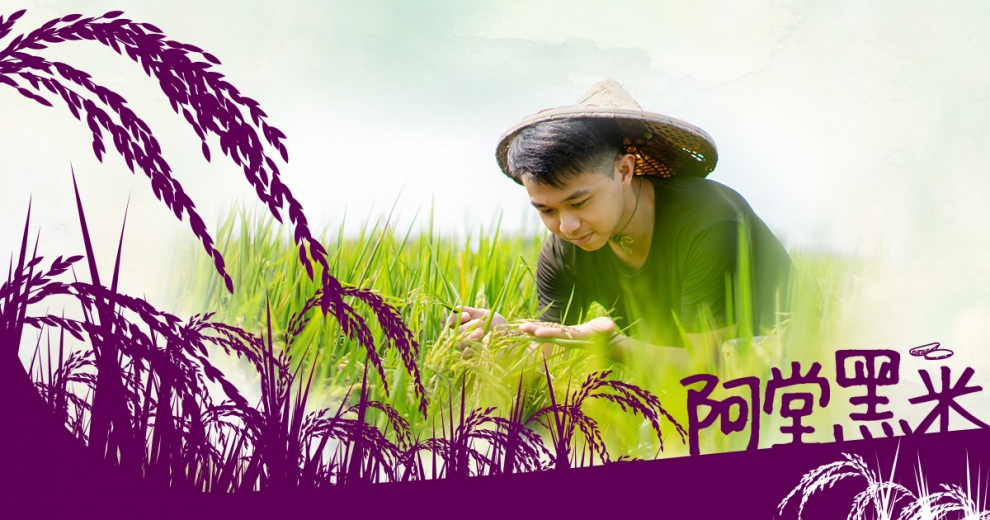 阿堂黑米有限公司-米