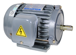 低壓三相感應電動機(IEC