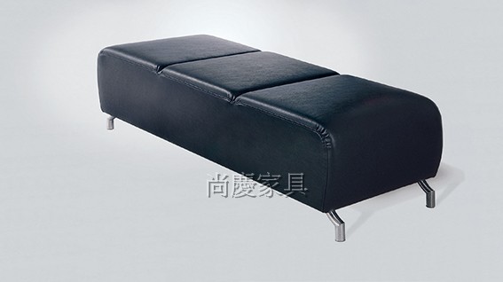 SCSL-31大廳沙發