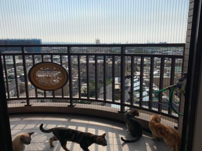 寶安隱形窗冷氣行-undefined