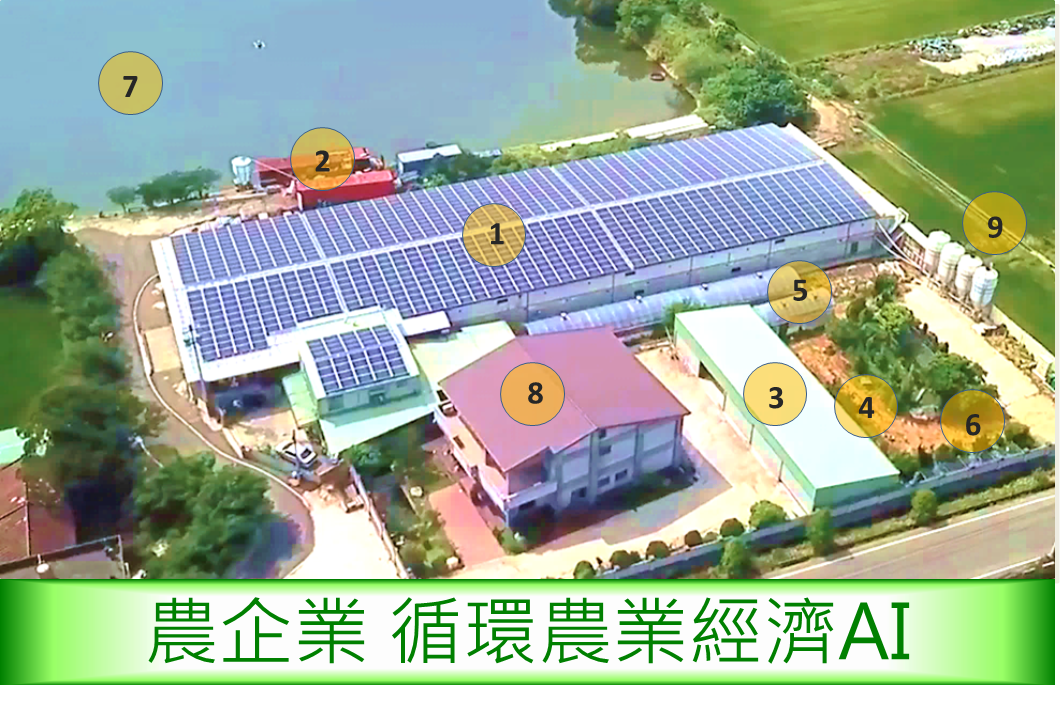 揚雅國際股份有限公司