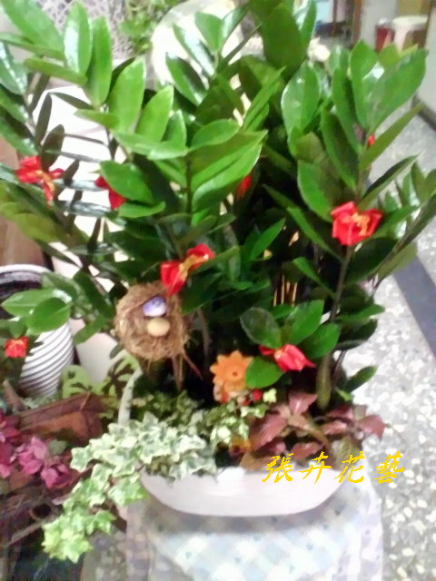 盆栽2-3