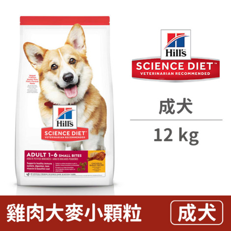 成犬