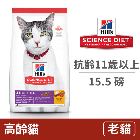 高齡貓抗齡11歲以上