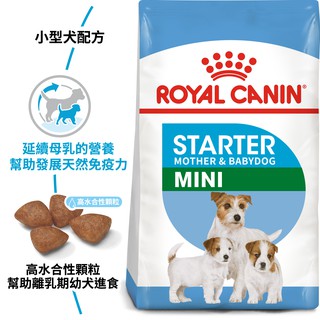小型離乳犬法國皇家