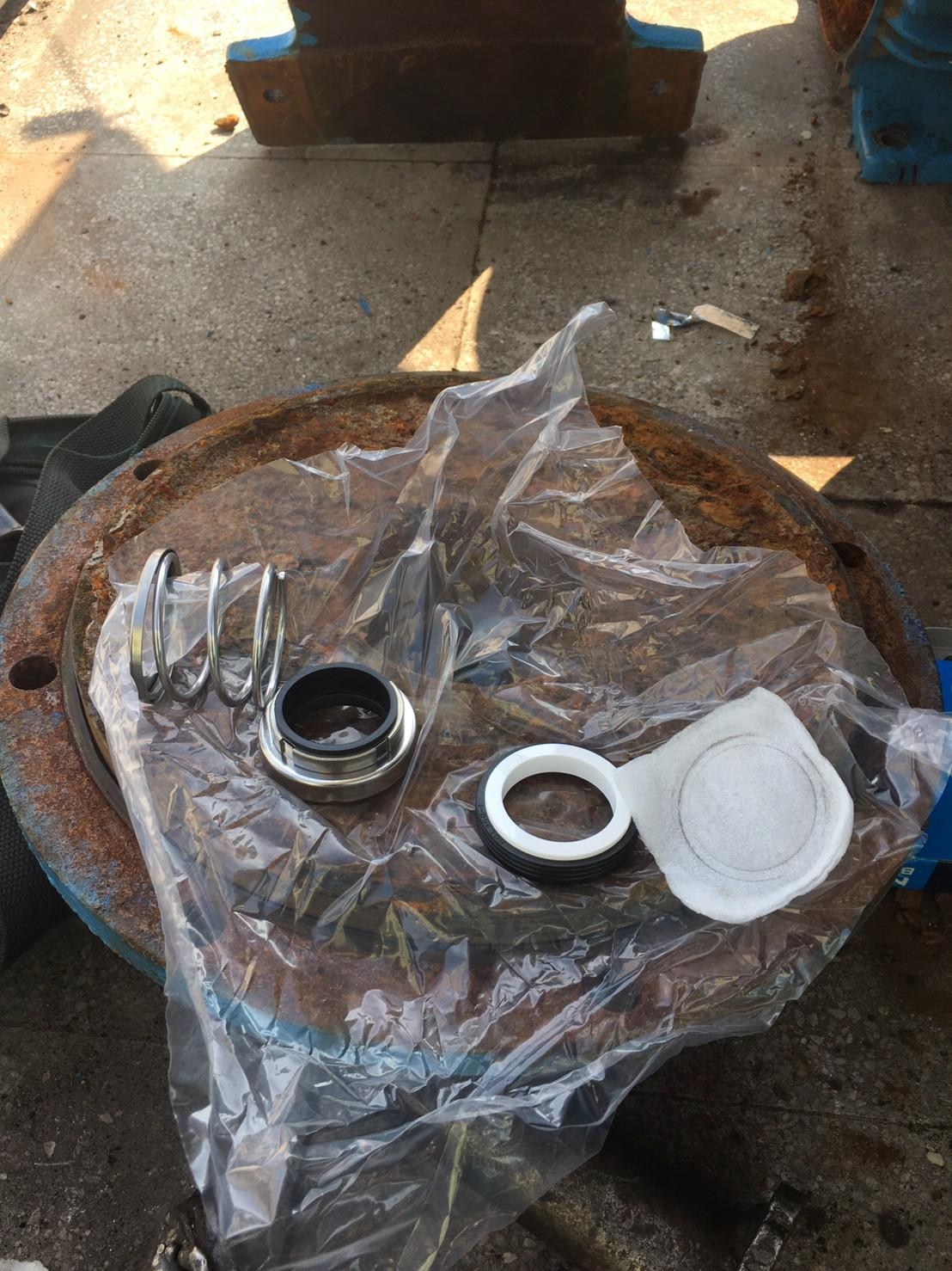 15HP聯軸式永大泵浦(更換機械軸封及軸承及線圈繞組)