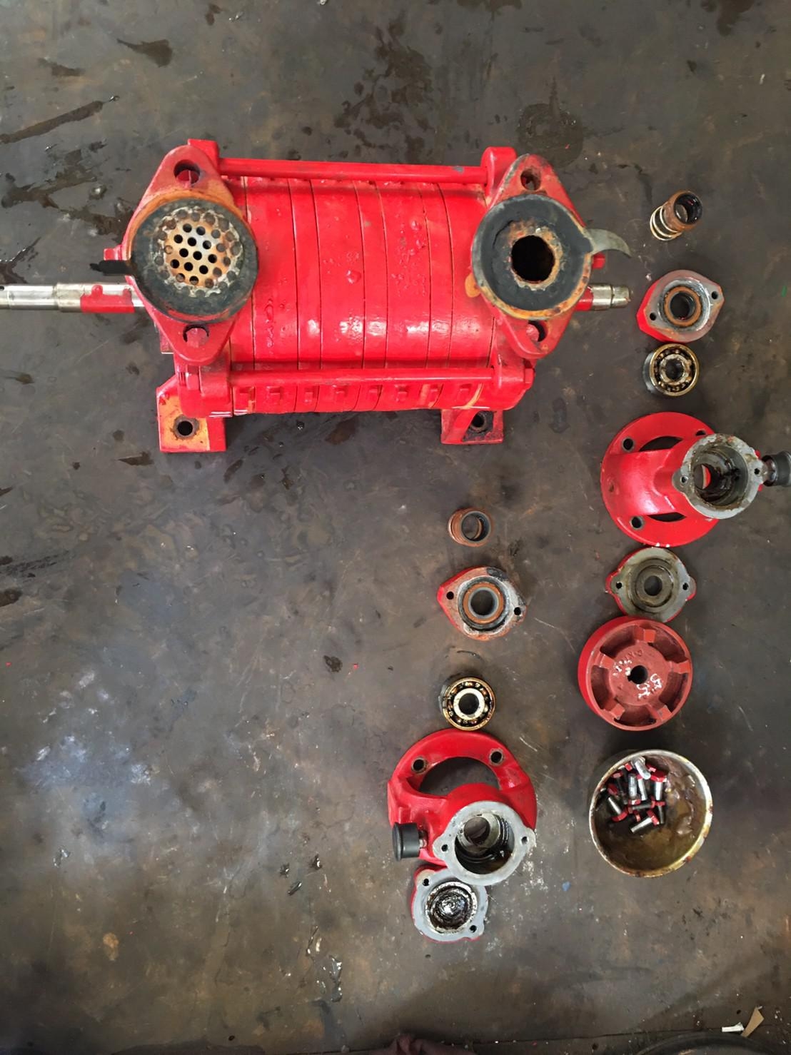 九如牌輔助泵浦(更換機械軸封及軸承)