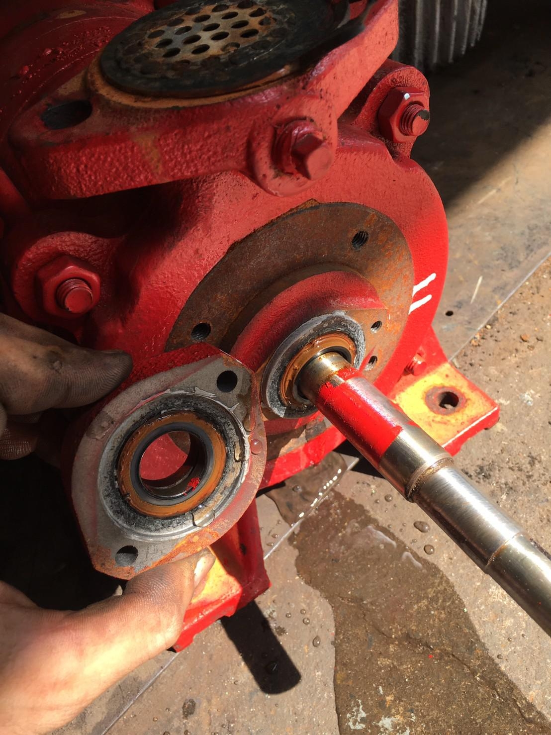 九如牌輔助泵浦(更換機械軸封及軸承)